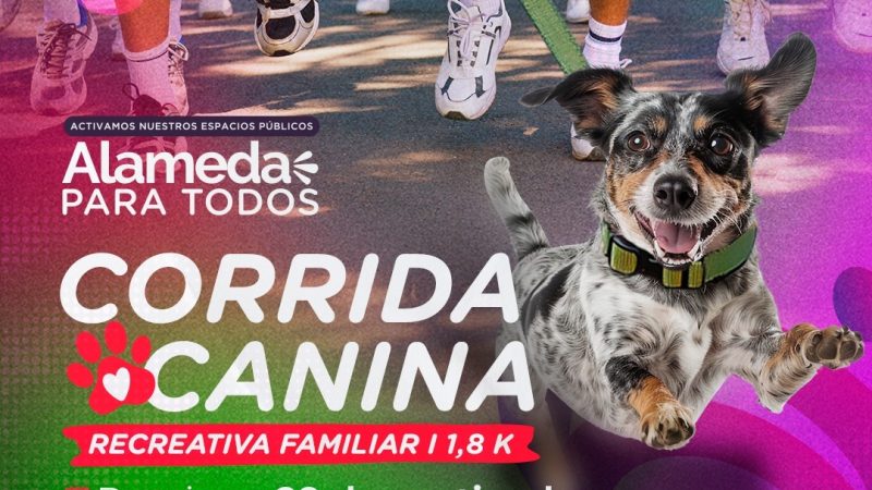 Corrida Canina en: Alameda para todos