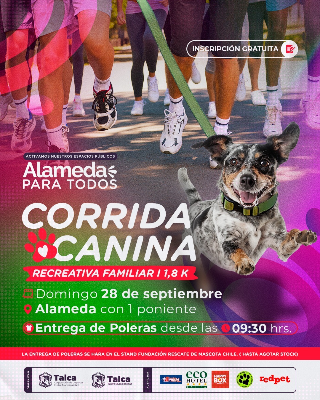 Corrida Canina en: Alameda para todos