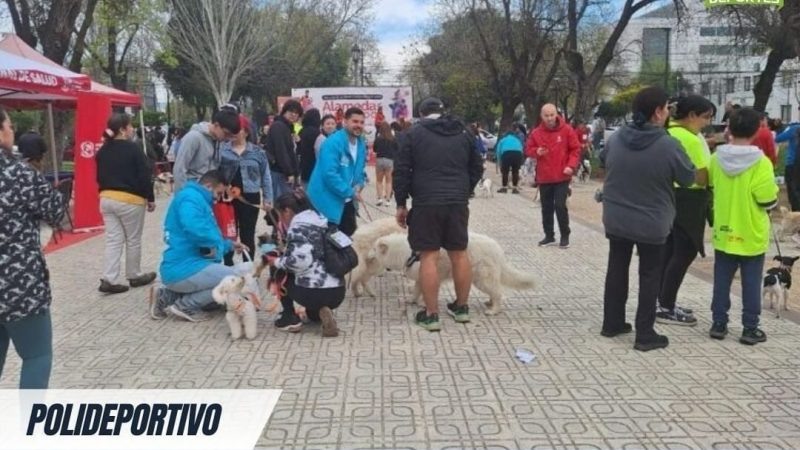 Vuelve Alameda para todos. Con corrida familiar.