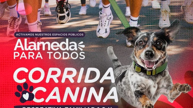 El próximo Domingo 28 de Septiembre vuelve  la  fiesta familiar. Alameda para todos.