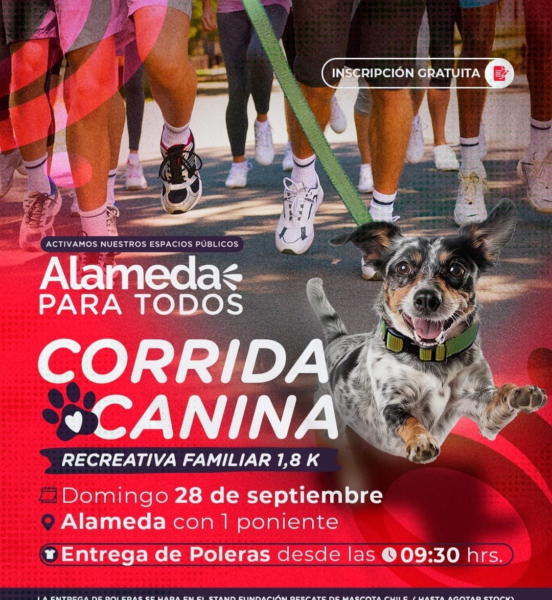 El próximo Domingo 28 de Septiembre vuelve la fiesta familiar. Alameda para todos.